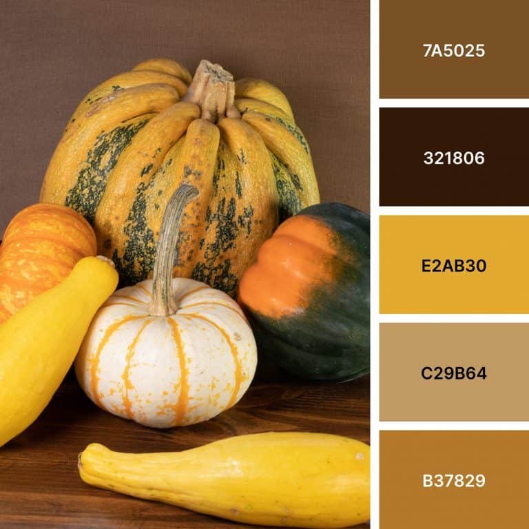 Fall Squash Color Palette